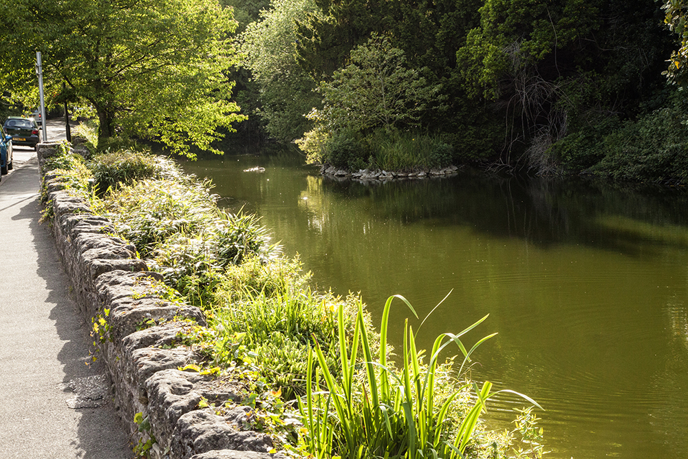 Quince Cottage | Self-Catering Accommodation Isle of Wight